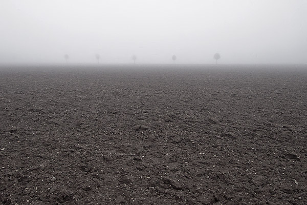 Feld im Nebel