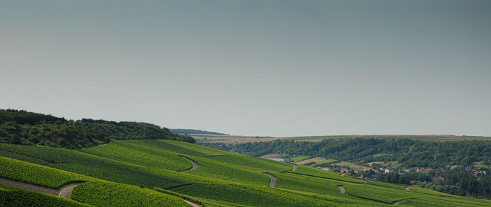 Wege im Weinberg