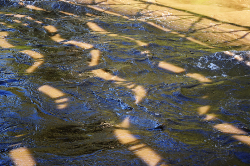 Schatten der Murinsel