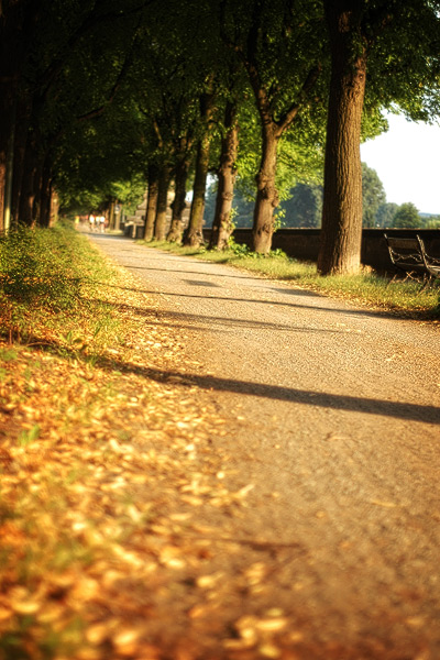 Promenade