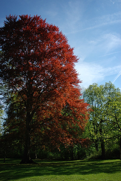 Rot - Grün - Blau