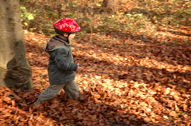 Herbsfreuden Herbsfreuden