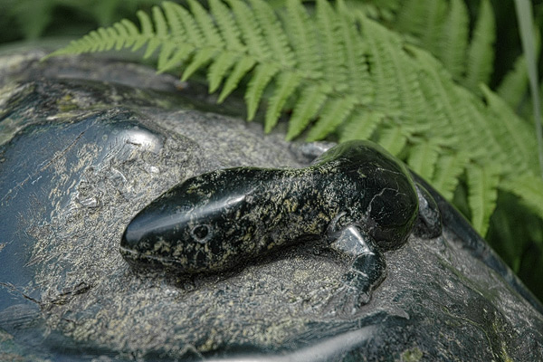 Gecko aus Stein