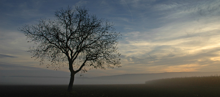 Kurz vor dem Sonnenaufgang