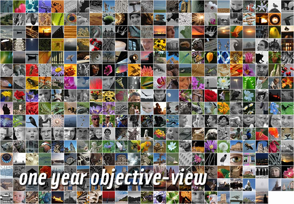 objective-view birthday