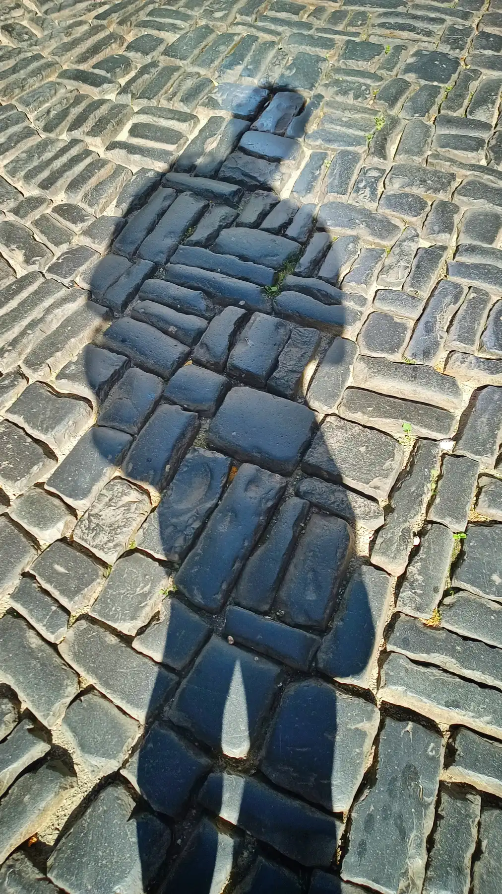 Die stille Steinwüste
