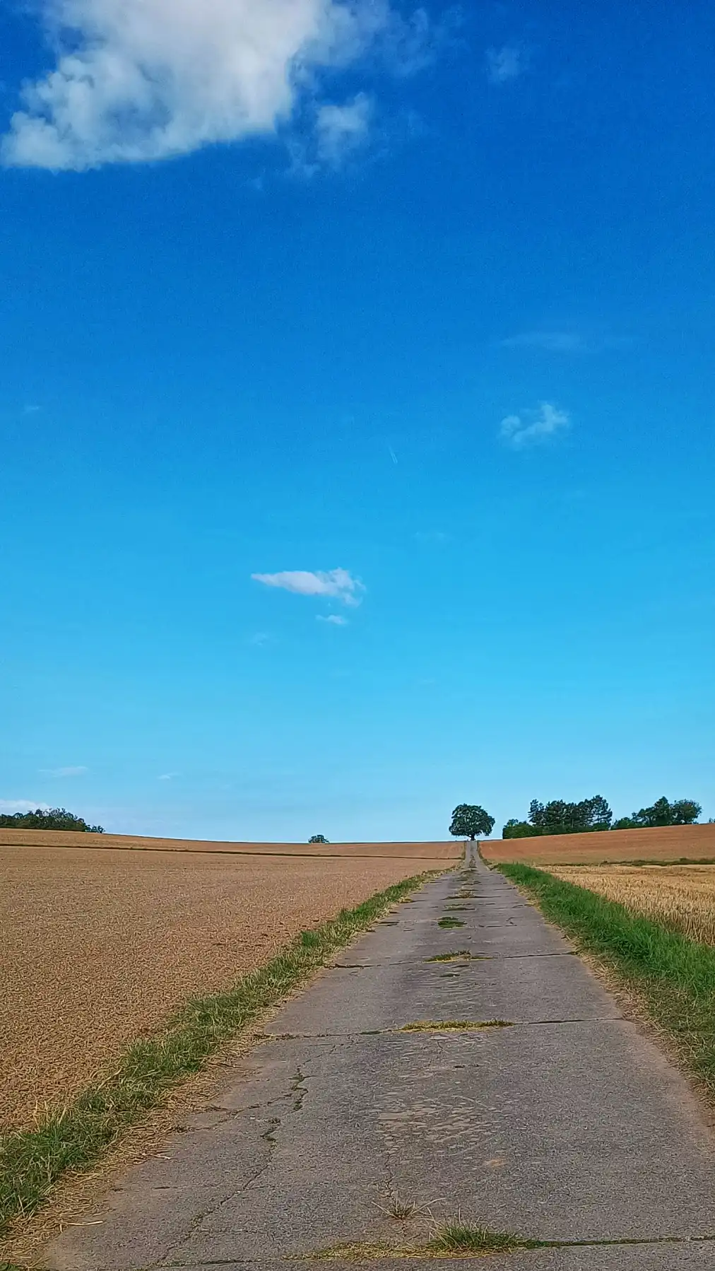 Der Pfad der Ewigkeit