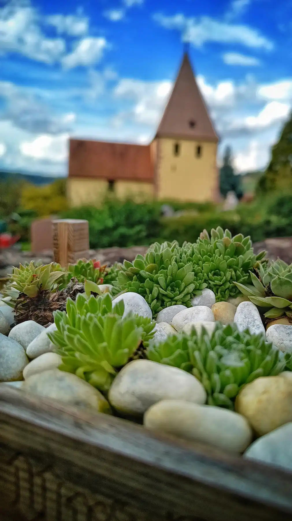 Versteckte Oase in den Felsen