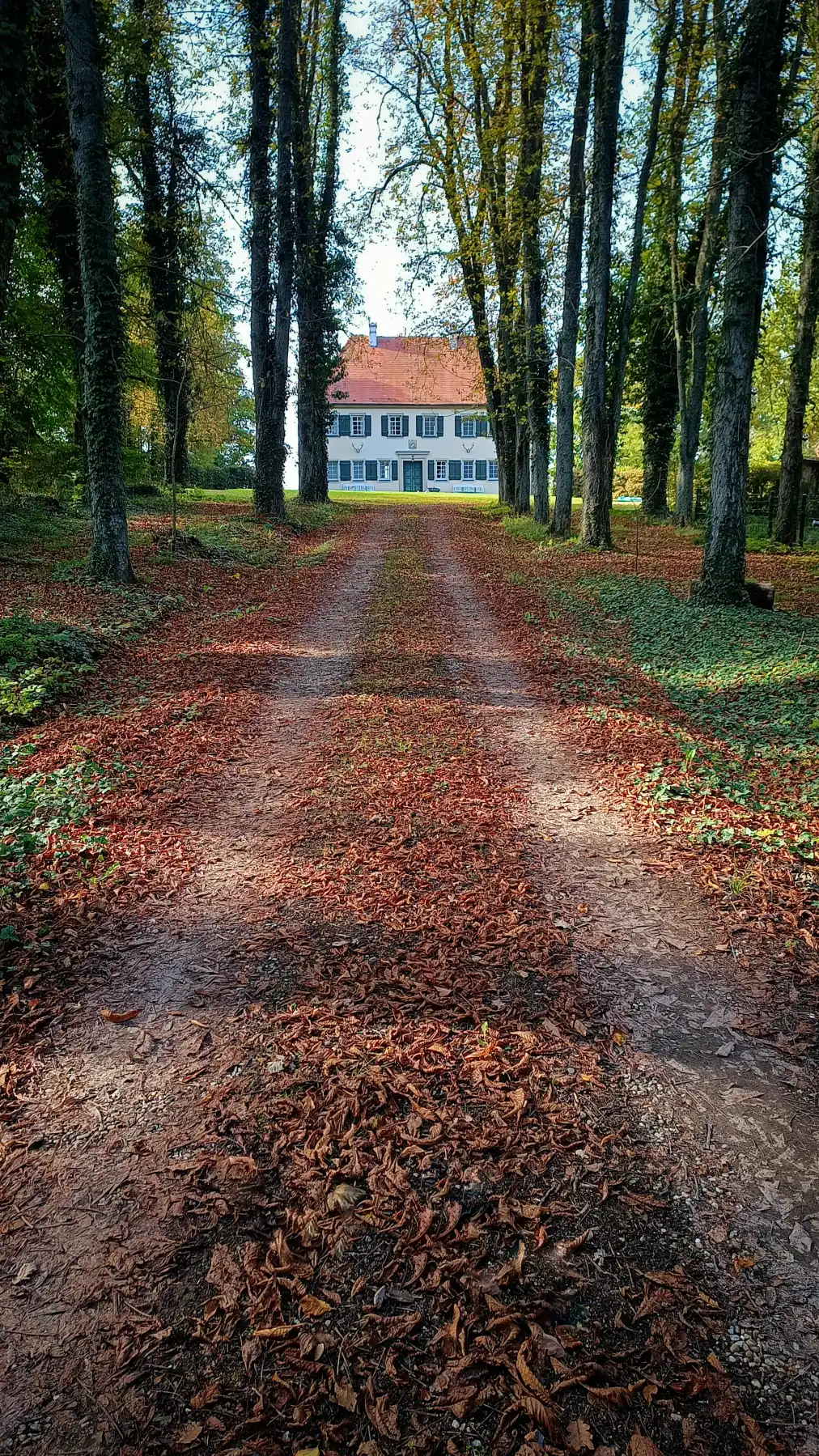 Verborgener Palast im Herbstwald
