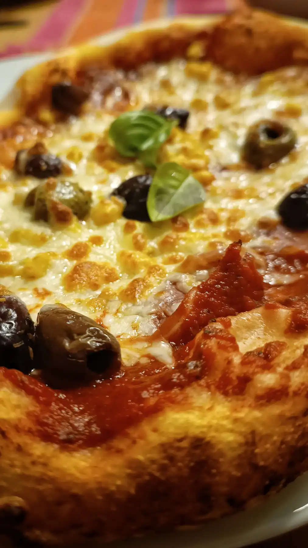 Der goldene Sonnenuntergang über dem Olivenmeer