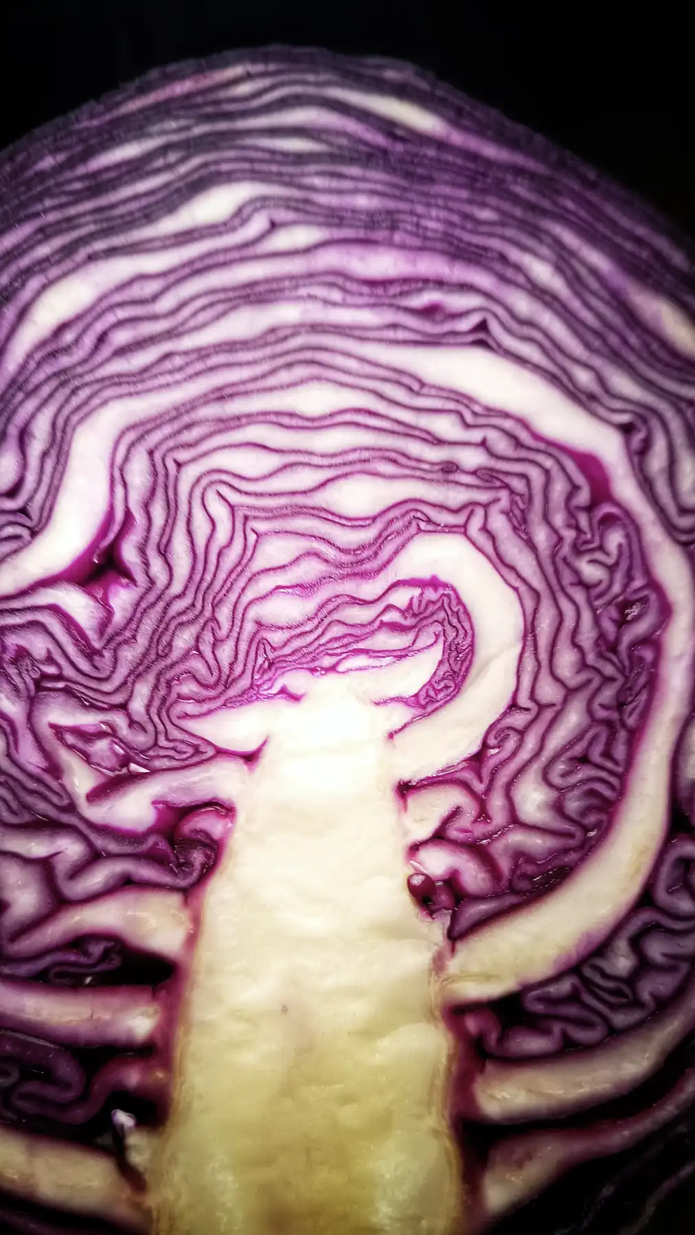 Geheimnisvolle Höhlen der Nacht