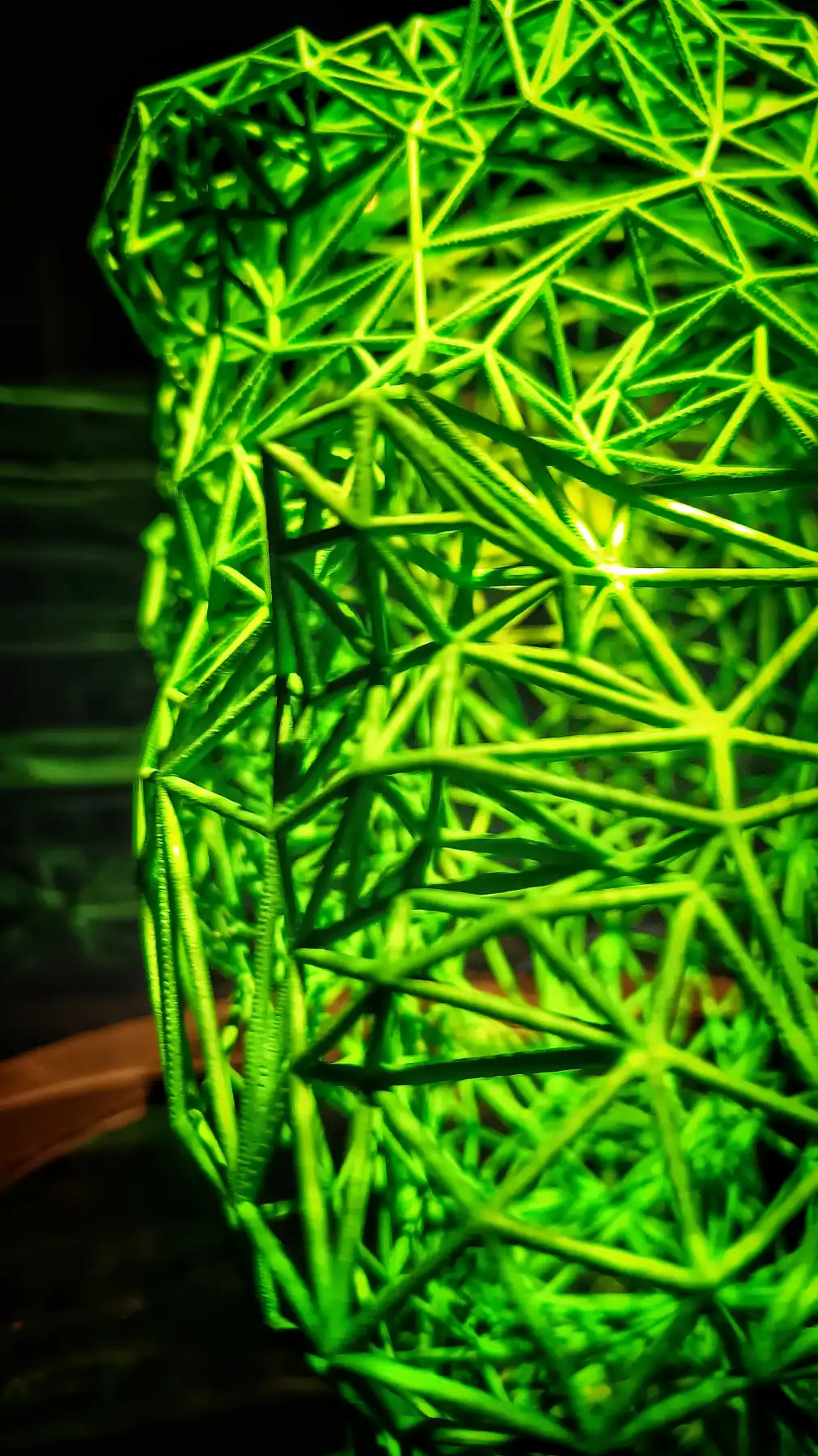 Das leuchtende Labyrinth des grünen Dschungels