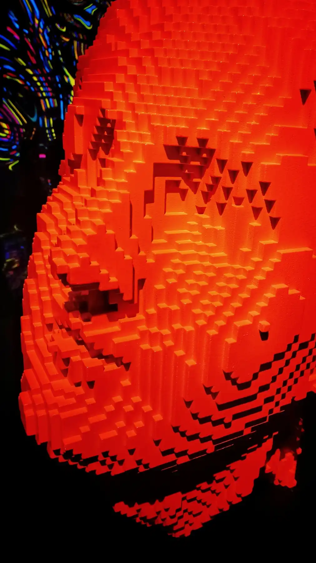 Feuerherz im Dschungel