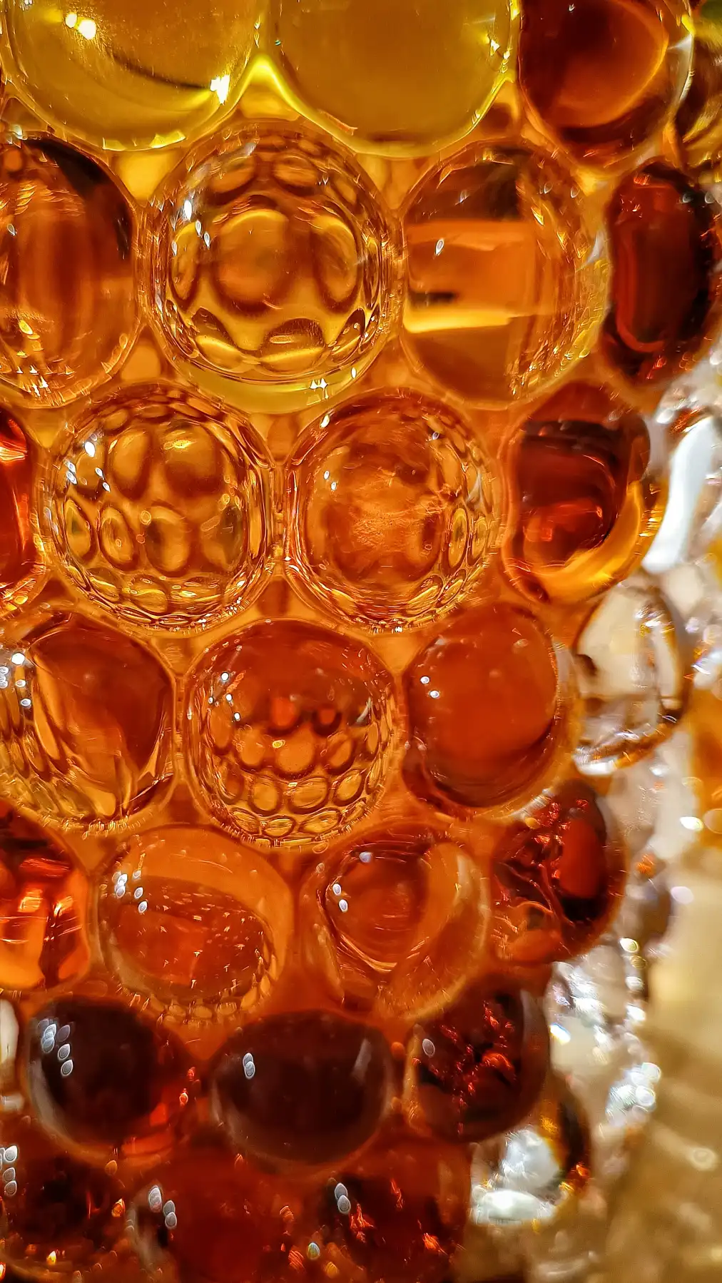 Die Goldenen Tränen des Bienenkönigs – oder: Warum Honig aussieht, als hätte er die Sonne gefangen