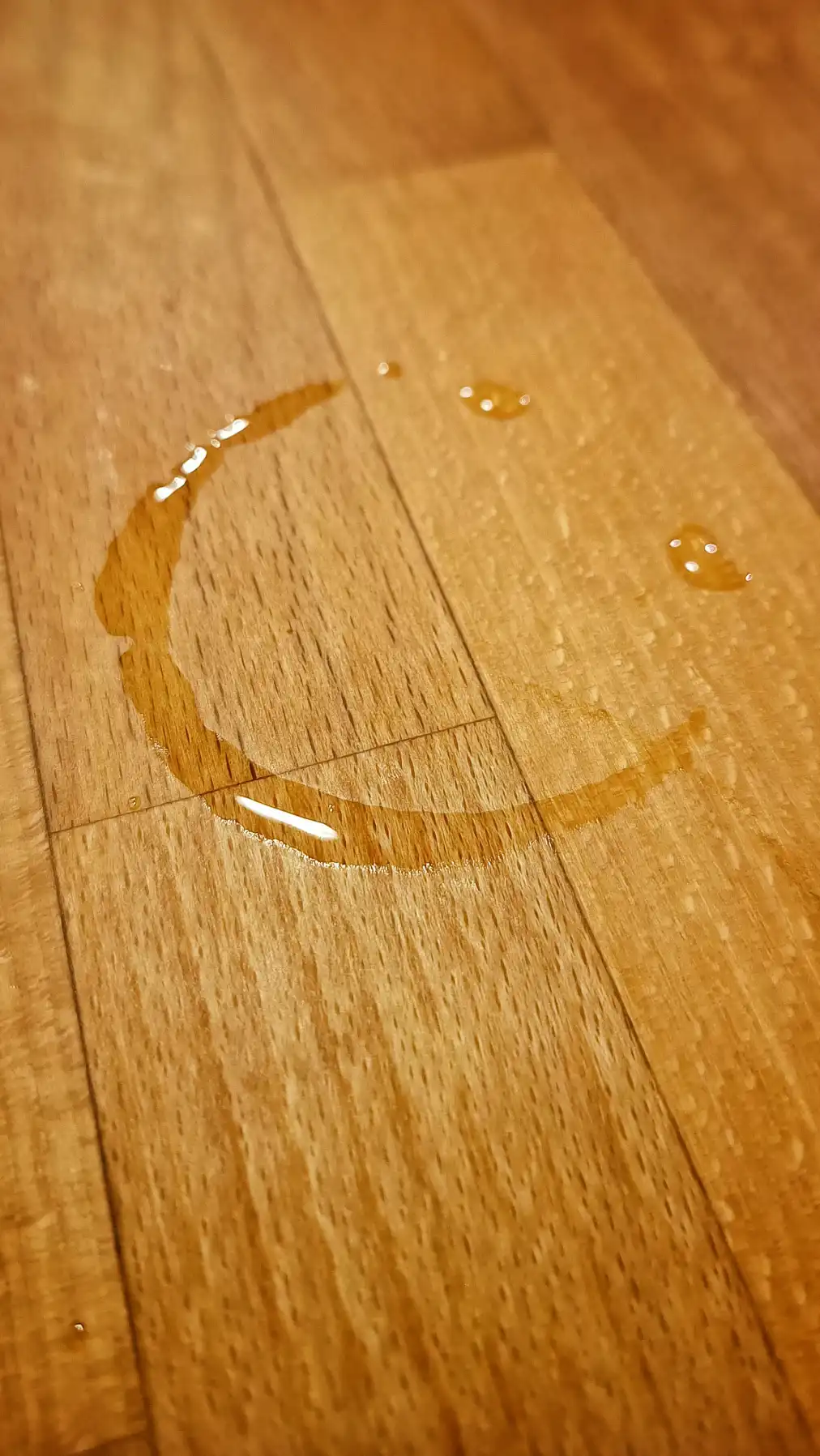 Der geheimnisvolle Pfad der Bernsteintränen – wo Flüsse aus Honig und Zeit versickern