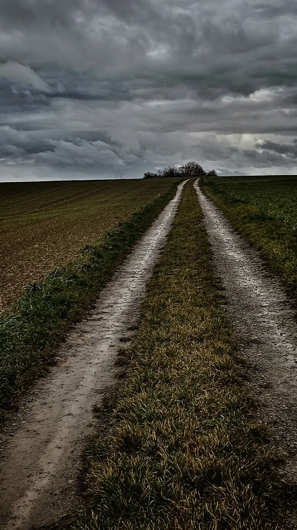 Die Milchstraße der Landwirte – oder: Wie der Himmel eine Landstraße verschluckte