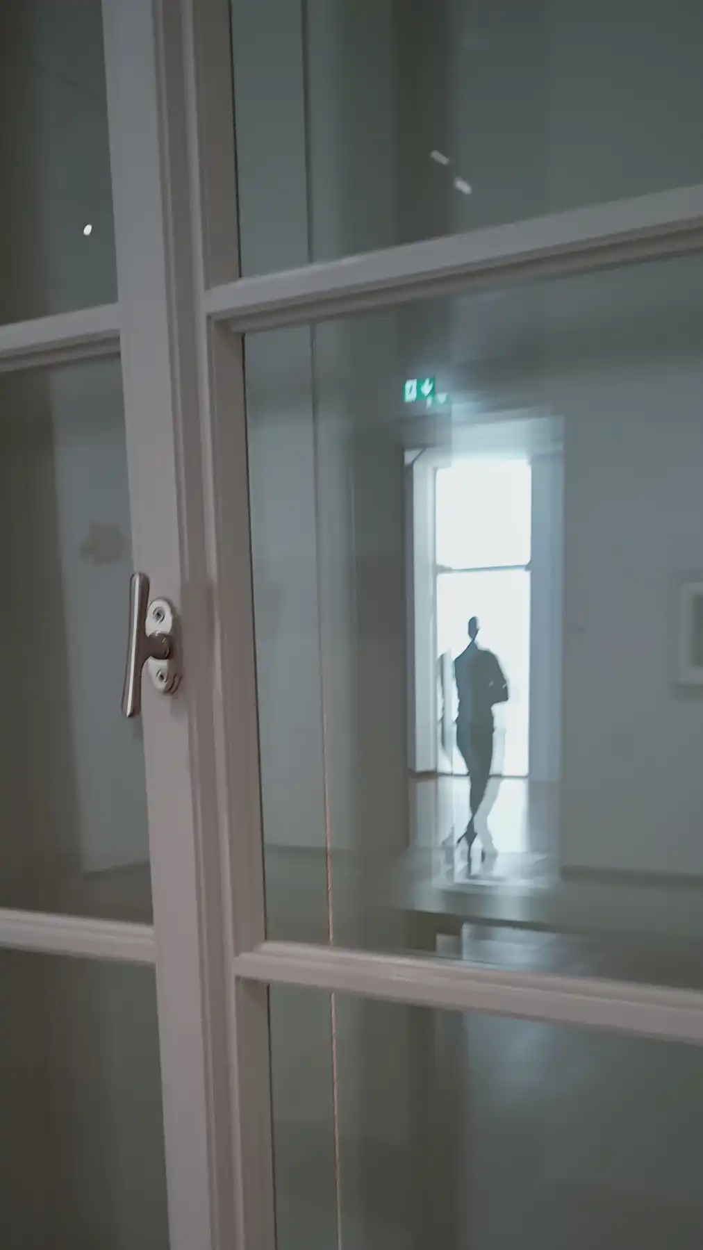 Der Schattenwanderer im Glasdschungel der Aufzüge