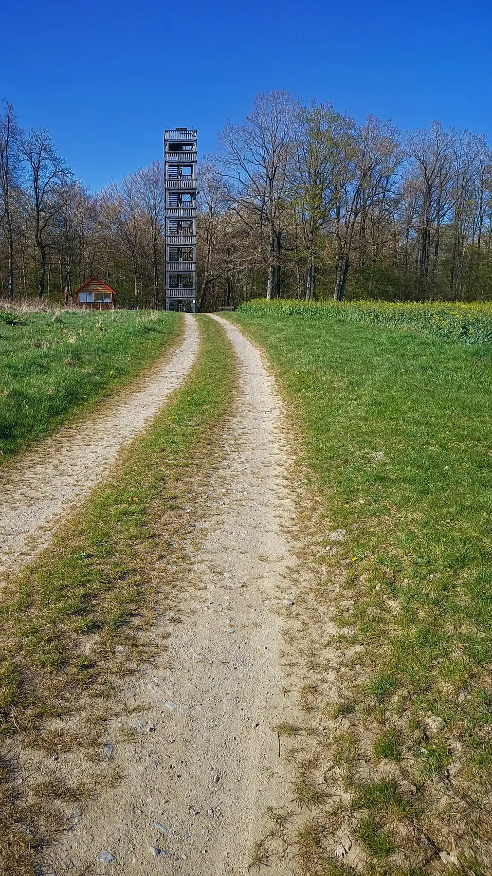 Die Alien-Autobahn: Wo die Marsianer ihre Staubteppich-Rennen veranstalten