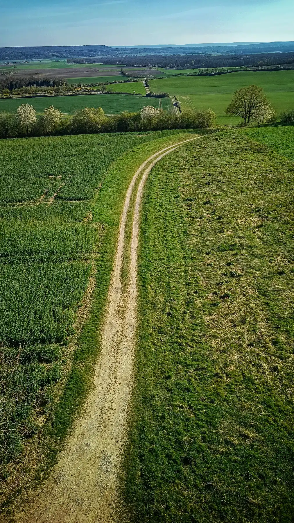 Die Milchstraße der Landwirte – oder wie der Himmel eine Achterbahn fuhr und im Gras landete