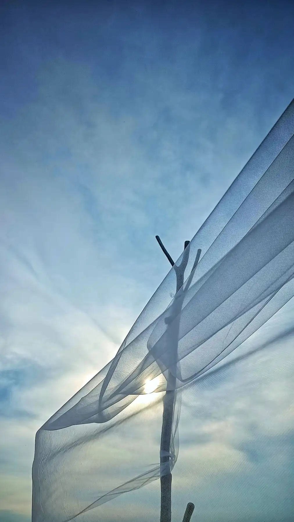 Die Wolkenfischer von Nebelstadt – oder: Wie der Himmel seine Wäsche aufhängt