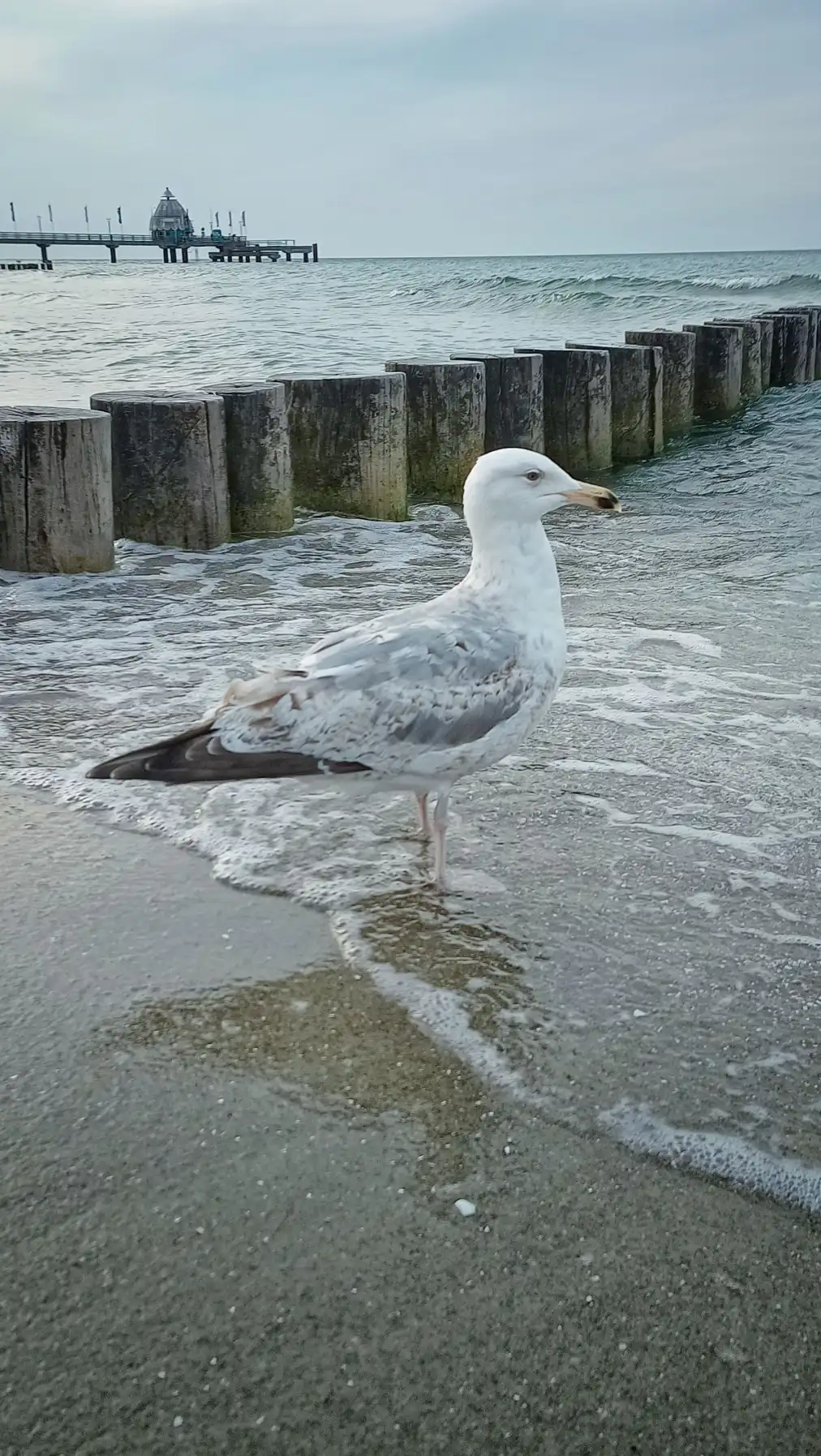 Der einsame Mondforscher am Pier der vergessenen Zeit