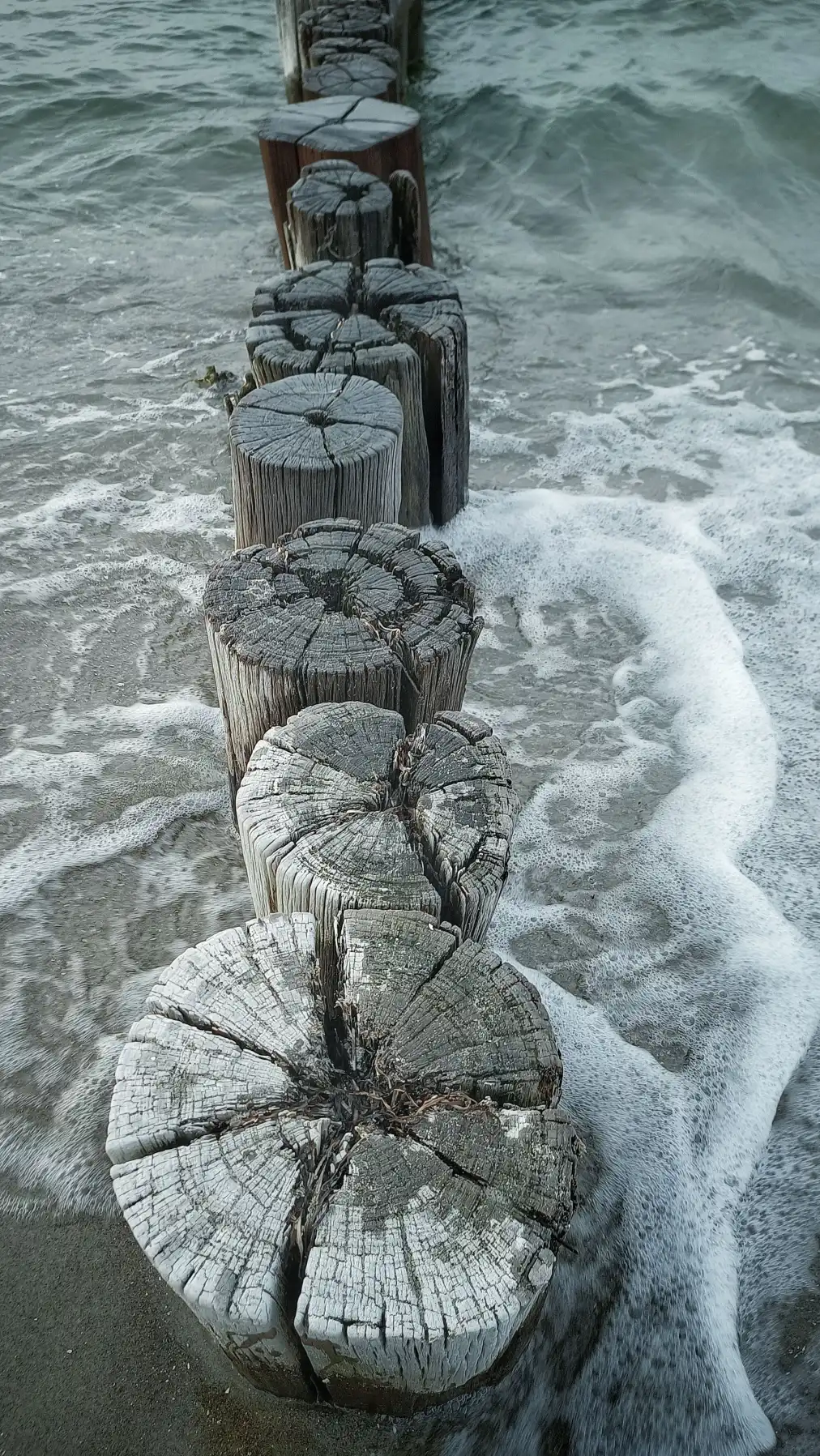 Die Riesenwurzeln des Yggdrasil – oder: Warum der Pier sich in die Knie fallen ließ