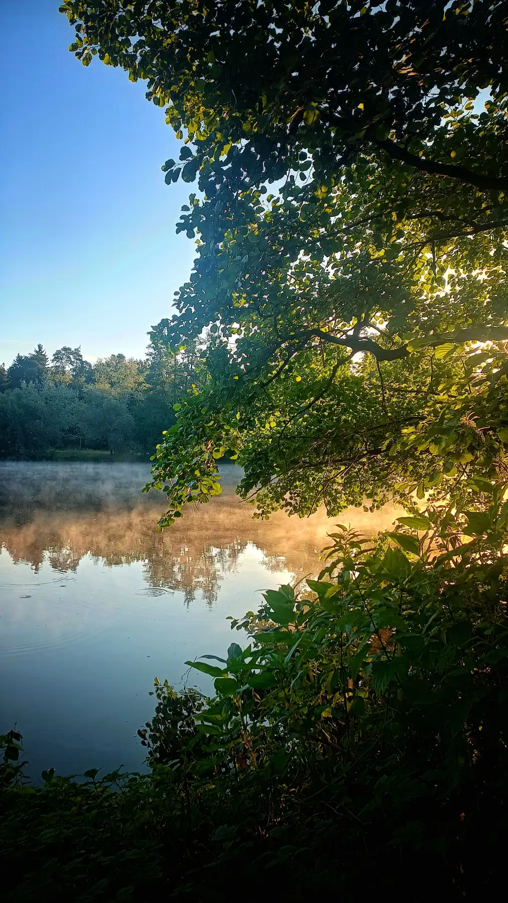 Die Mondfinsternis der Teich-Alchemisten – oder warum der See heute sein Spiegelbild vergisst