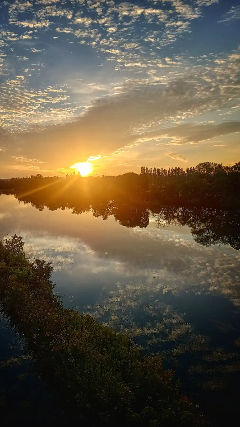 Der goldene Drache badet im Spiegel der Feen – und vergisst, dass es nur ein Teich ist